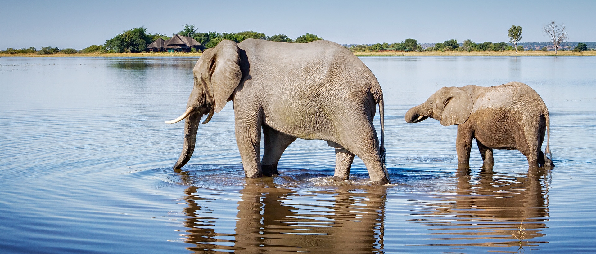 Plan your Botswana trip today