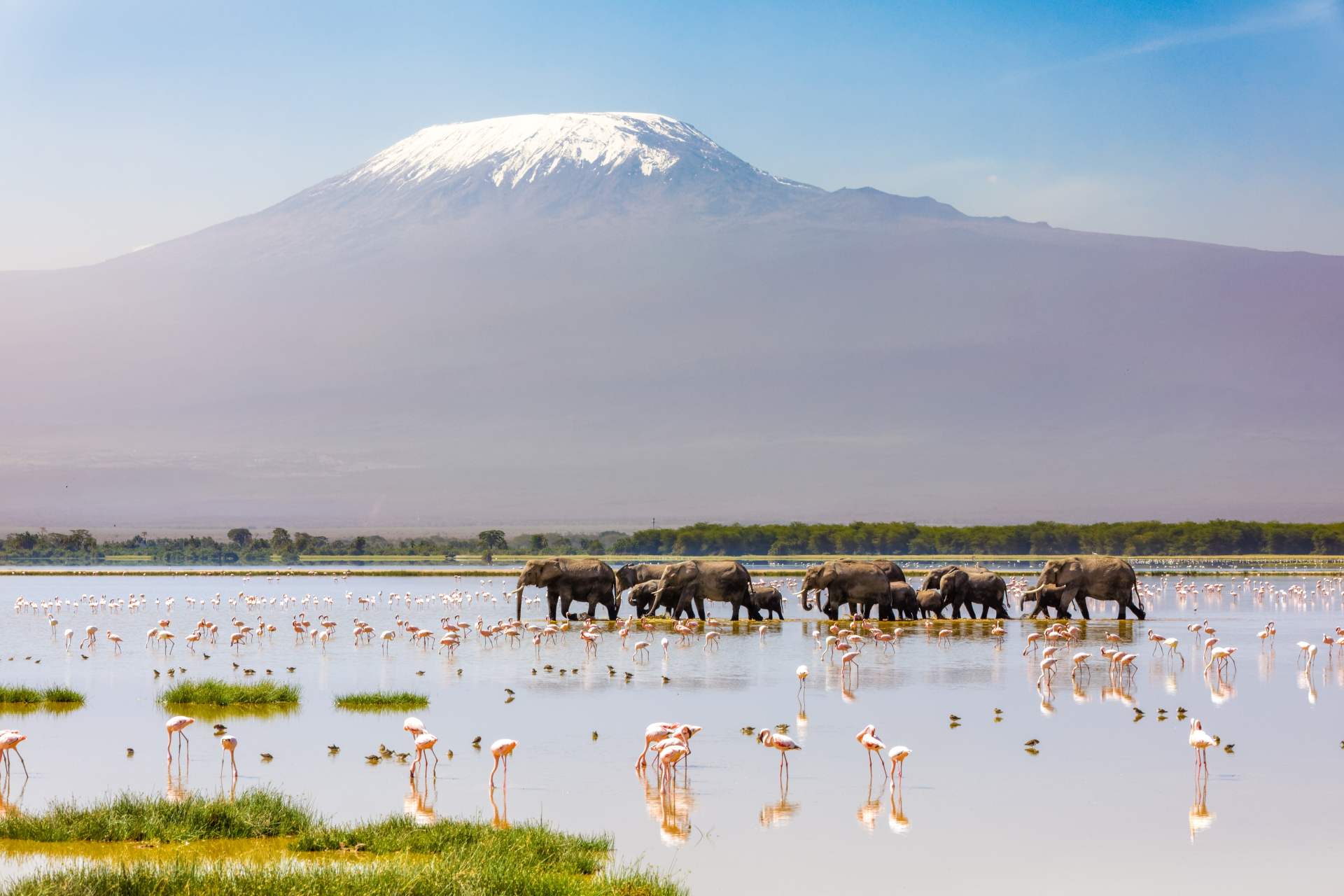 Plan your Kenya trip today