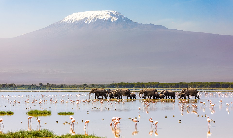 Plan your Kenya trip today