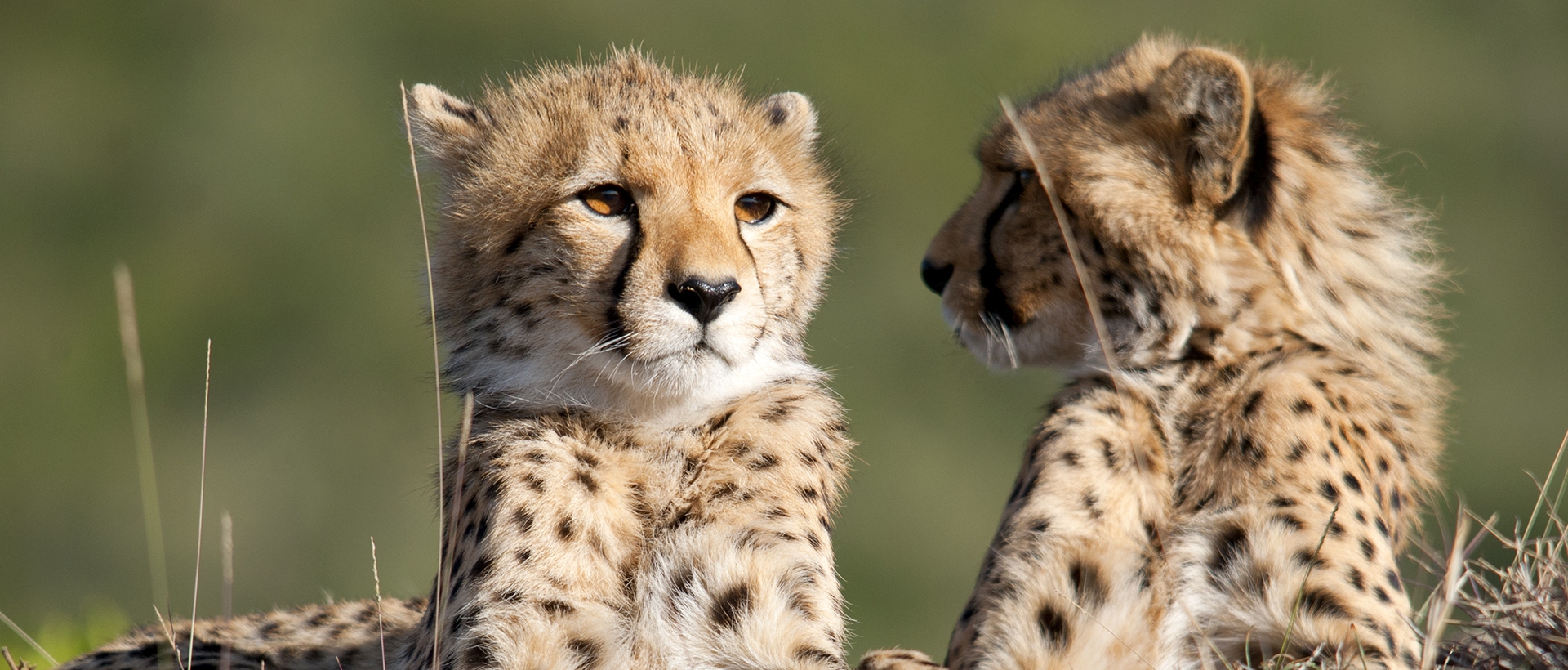 Plan your Tanzania trip today