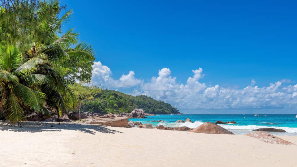 Plan your Barbados trip today