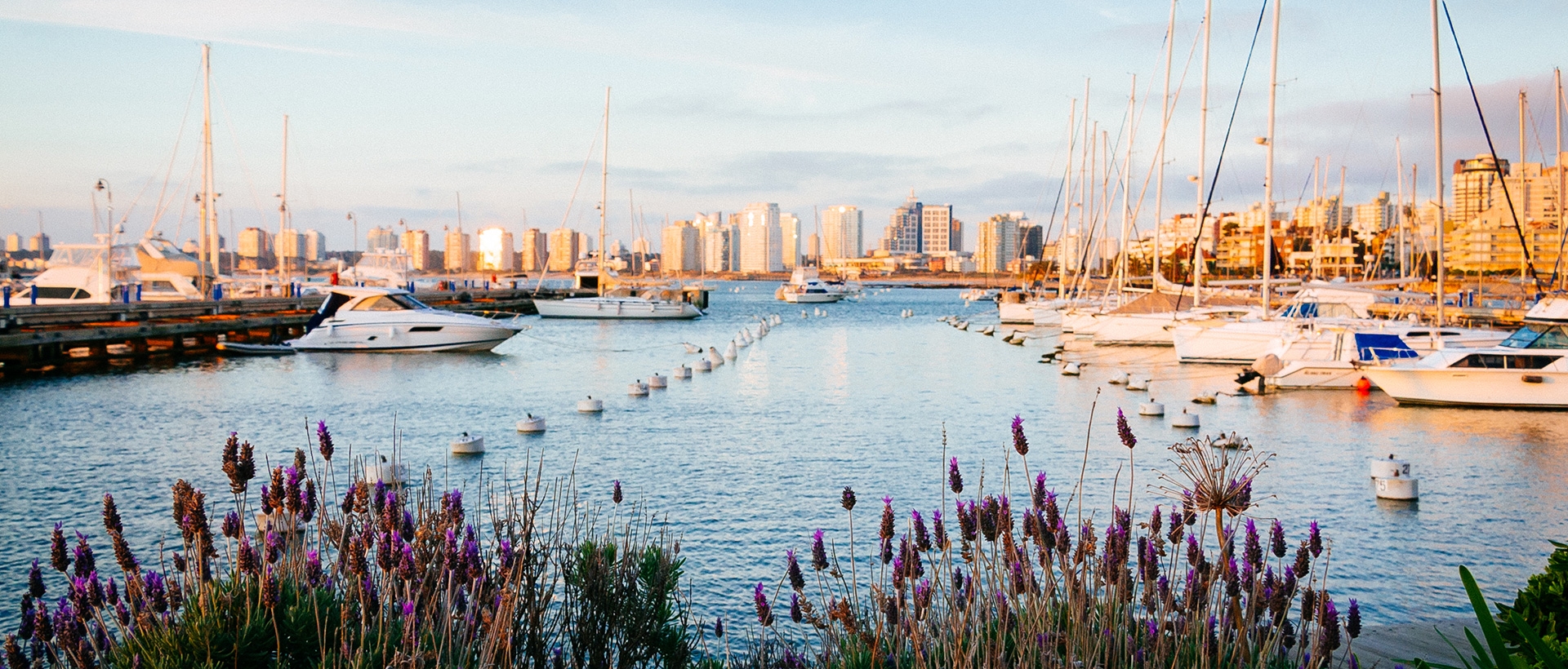 Plan your Uruguay trip today