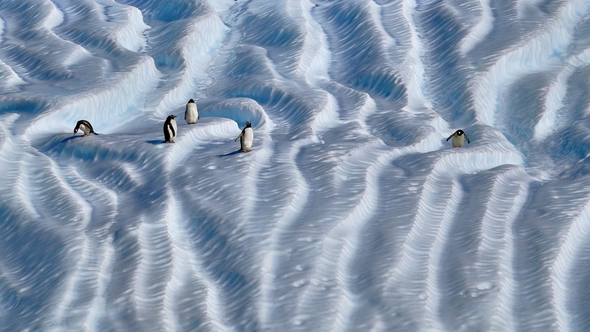 Extraordinary Antarctica: Cross the Polar Circle