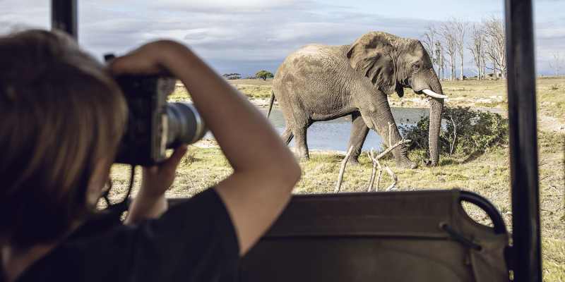 Family-Friendly Safari Lodges