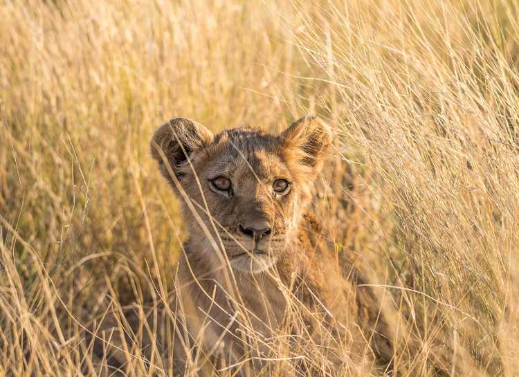 South Africa