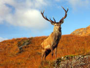 Highlands & Islands of Scotland