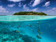 South Malé Atoll