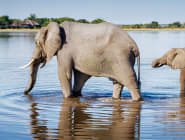 Botswana