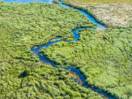 Okavango Delta and Moremi
