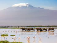 Kenya