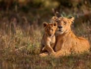 Northern Kenya