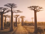 Madagascar