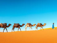 Moroccan Desert