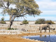 Etosha