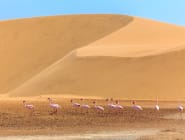 Kalahari