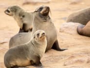 Swakopmund
