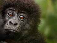 Rwanda