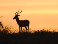 Nyerere and Southern Tanzania