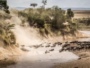 Serengeti and northern Tanzania