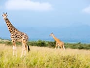 Kidepo National Park