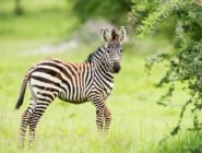 Lake Mburo National Park