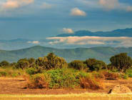 Queen Elizabeth National Park