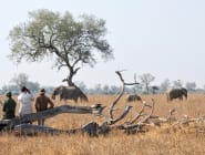 Luangwa Valley