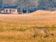 Lusaka and central Zambia