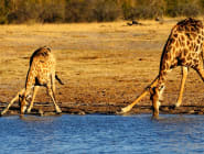 Zimbabwe