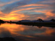 Mana Pools National Park