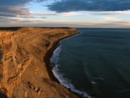 Peninsula Valdes