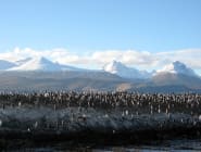 Tierra del Fuego & Ushuaia