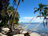Caribbean Coast