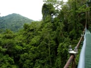 Monteverde