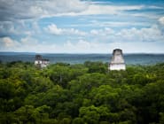Tikal