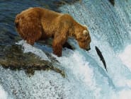 Alaska