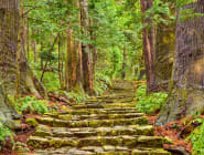 Mount Koya and Kumano Kodo
