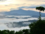 Borneo