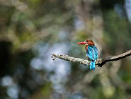 Central Nepal