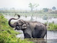 Chitwan National Park