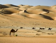 Desert