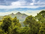 Daintree National Park