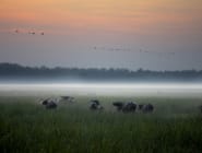 Kakadu National Park