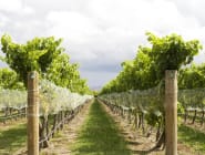 Hawkes Bay