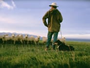 Wellington and the Wairarapa