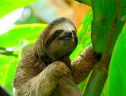 Manuel Antonio National Park