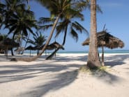 Diani