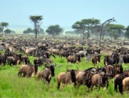 Serengeti National Park