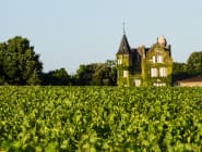 Bordeaux and the Dordogne