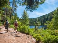 Black Forest